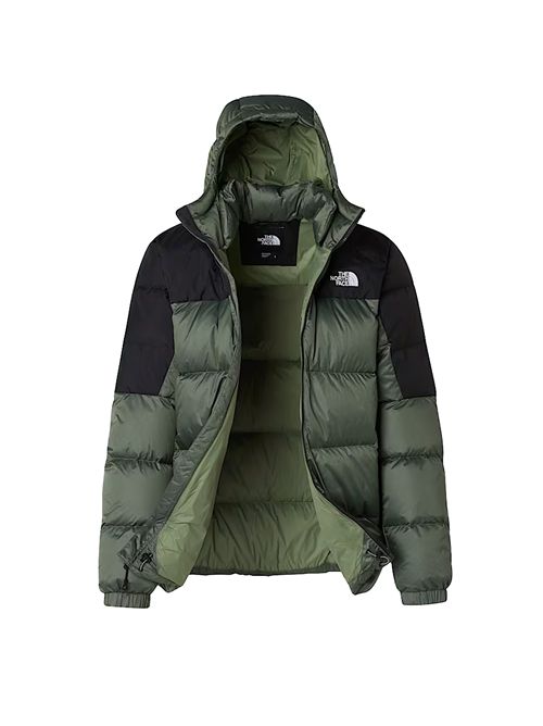 THE NORTH FACE Diablo 2.0 Down Jacket with Hood THE NORTH FACE | NF0A8992EIH1